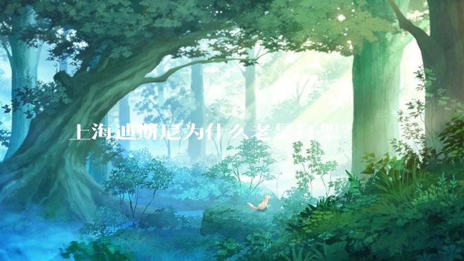 上海迪斯尼为什么老是打架？