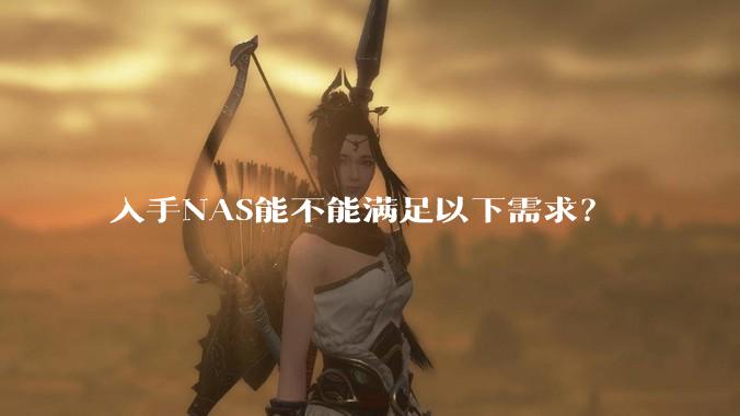入手NAS能不能满足以下需求？