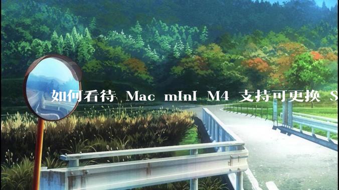 如何看待 Mac mini M4 支持可更换 SSD？