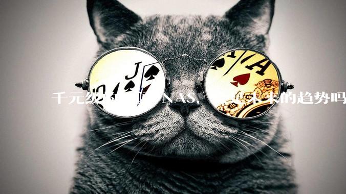 千元级的全闪 NAS，会是未来的趋势吗？