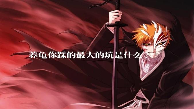 养龟你踩的最大的坑是什么?