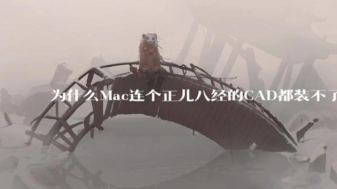 为什么Mac连个正儿八经的CAD都装不了还敢打着生产力的旗号？