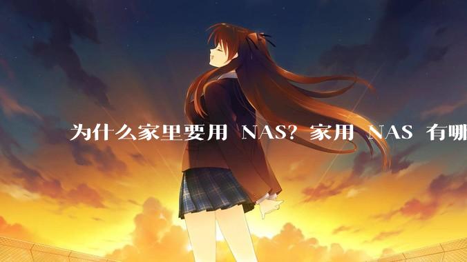为什么家里要用 NAS？家用 NAS 有哪些实际的、接地气的用途？