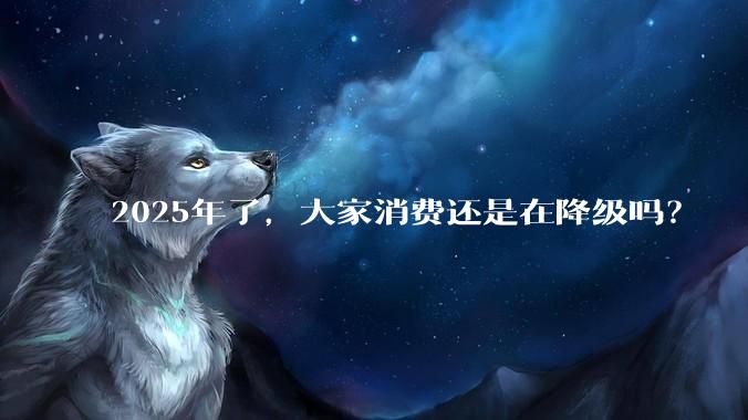 2025年了，大家消费还是在降级吗？
