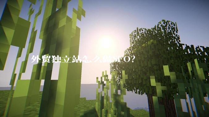 外贸独立站怎么做SEO？