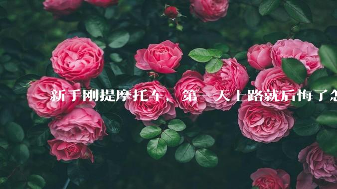 新手刚提摩托车，第一天上路就后悔了怎么办？