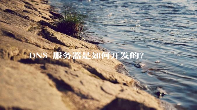 DNS 服务器是如何开发的？