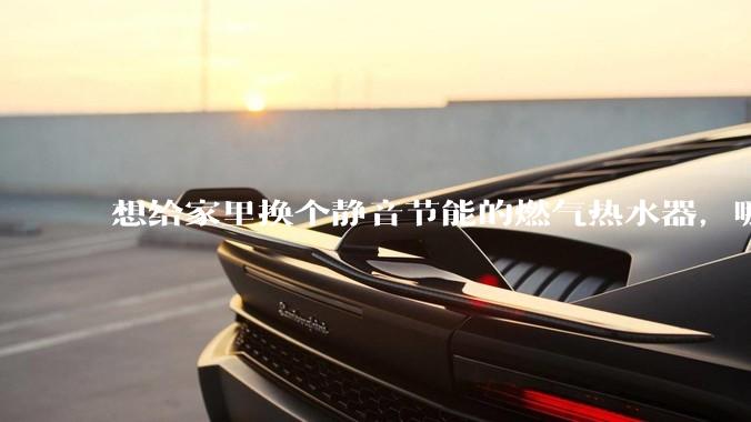 想给家里换个静音节能的燃气热水器，哪个品牌比较好？