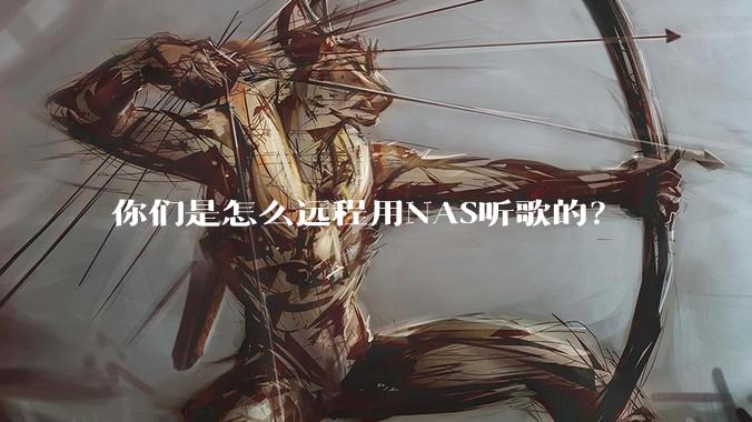 你们是怎么远程用NAS听歌的？