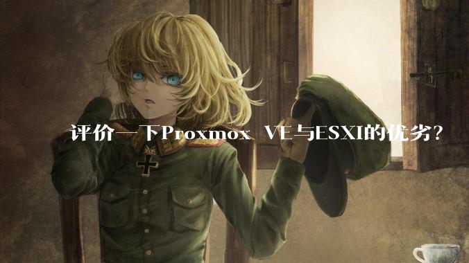 评价一下Proxmox VE与ESXi的优劣？