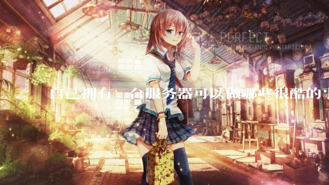 自己拥有一台服务器可以做哪些很酷的事情？