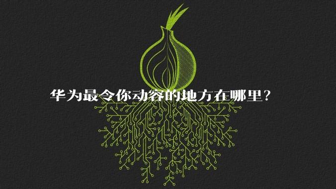 华为最令你动容的地方在哪里？