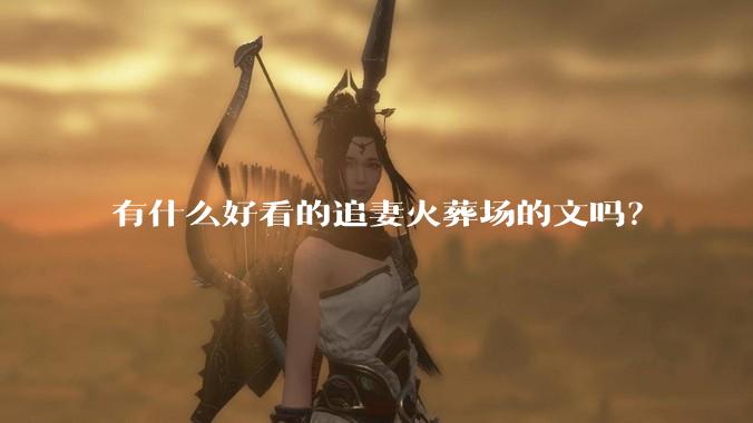 有什么好看的追妻火葬场的文吗？