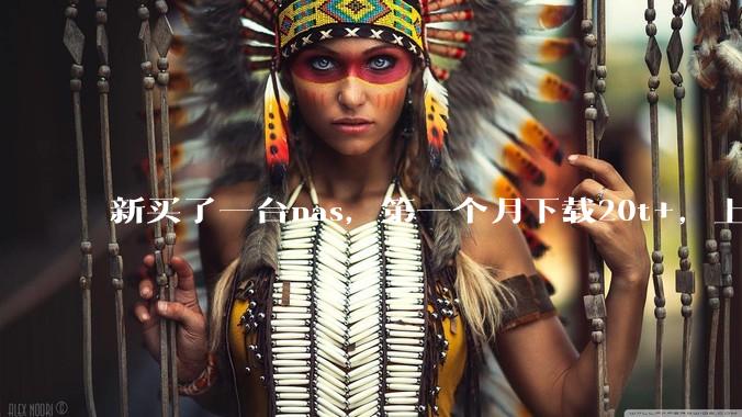 新买了一台nas，第一个月下载20t+，上传5+，不会被网警盯上吧?