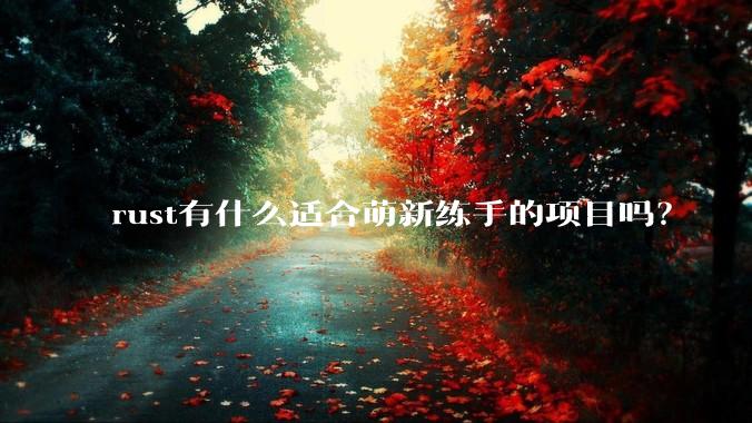 rust有什么适合萌新练手的项目吗？