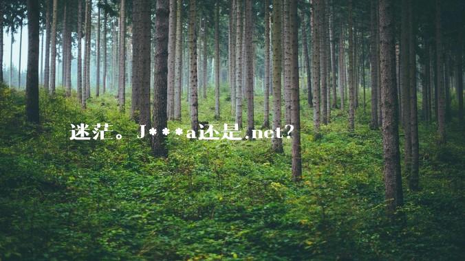 迷茫。J***a还是.net？